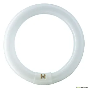 Philips P840506 Master TL-E Lampada circolare 22 watt G10q